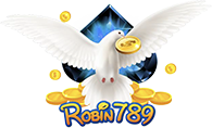 logo-ROBIN789